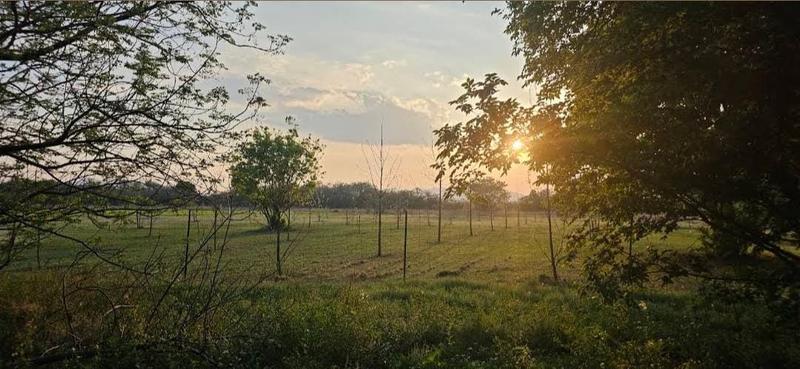 Commercial Property for Sale in Hartbeespoort Dam Nature Reserve North West